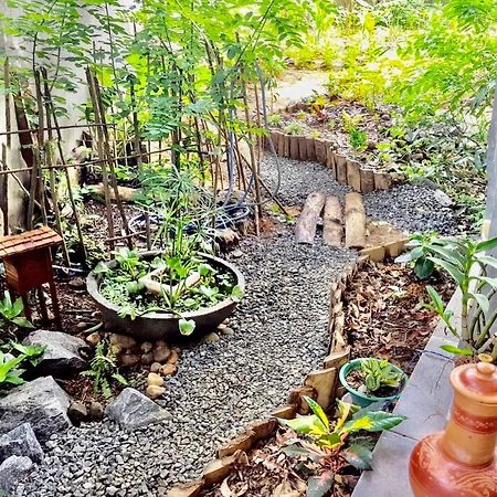 Bindu Homestay Wellawaya Exteriör bild