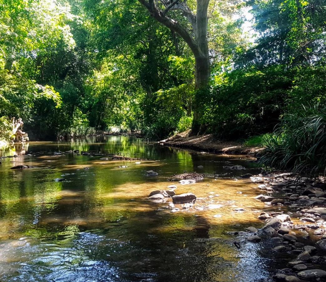 Bindu Homestay Wellawaya Exteriör bild