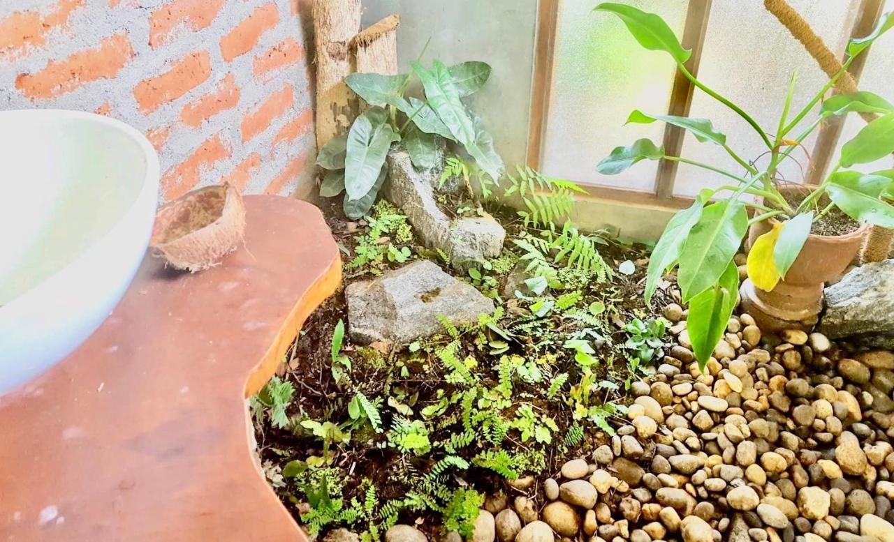 Bindu Homestay Wellawaya Exteriör bild