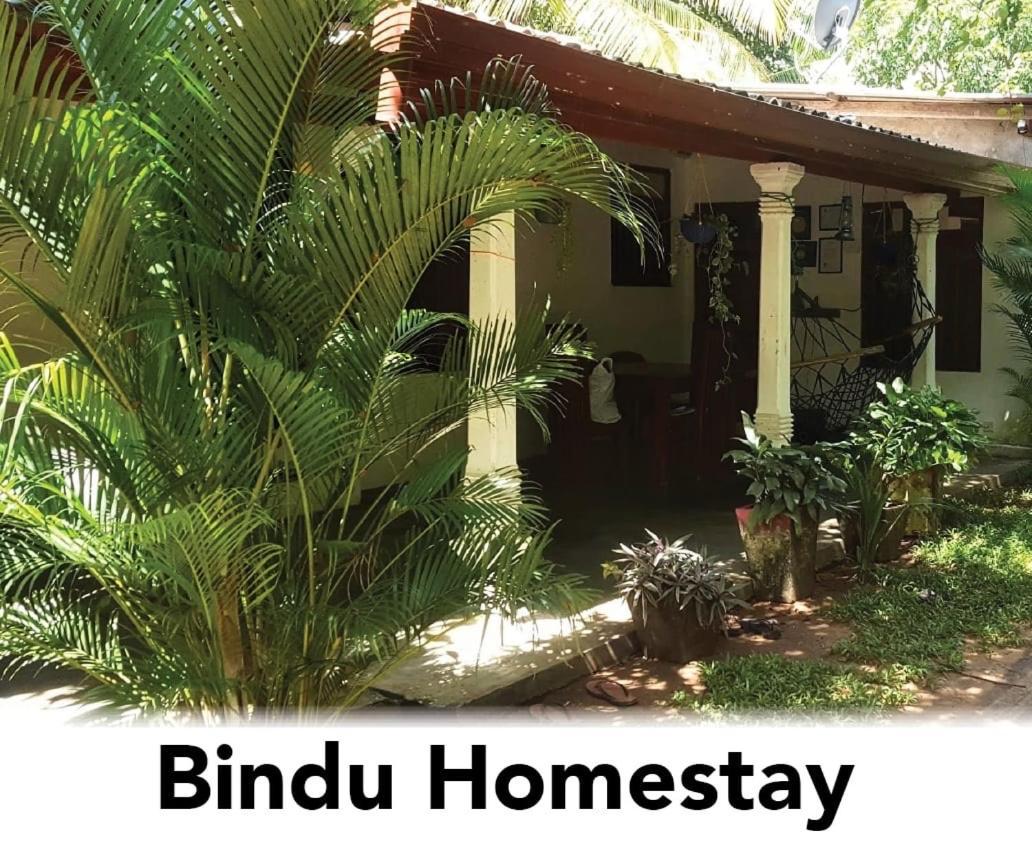 Bindu Homestay Wellawaya Exteriör bild