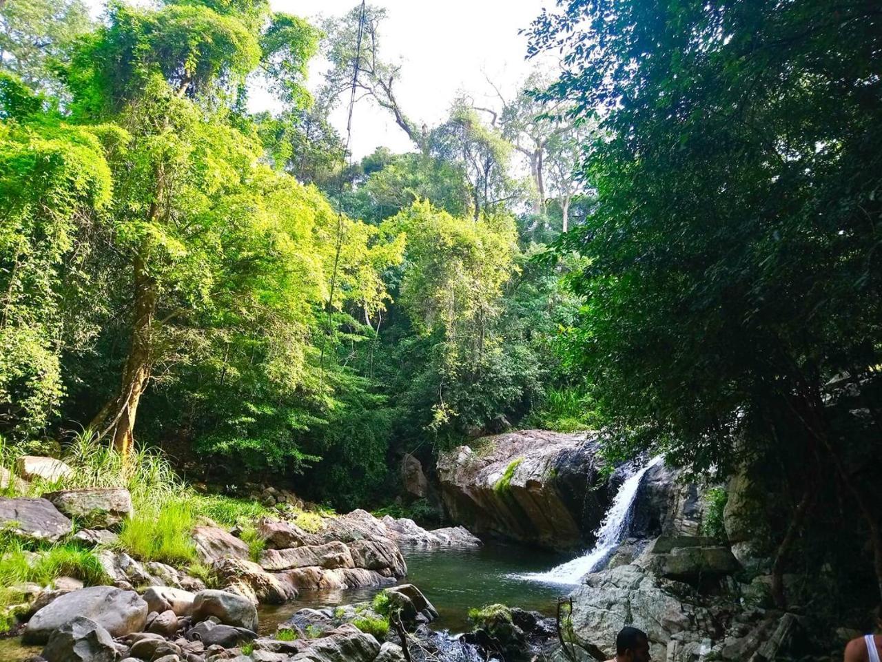 Bindu Homestay Wellawaya Exteriör bild