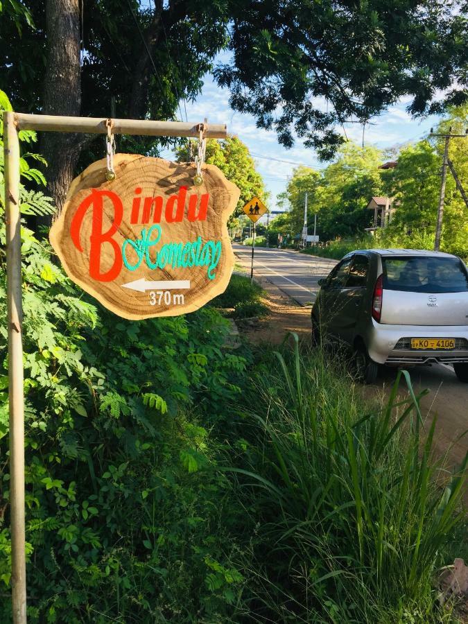 Bindu Homestay Wellawaya Exteriör bild